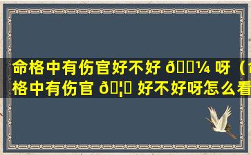 命格中有伤官好不好 🌼 呀（命格中有伤官 🦁 好不好呀怎么看）